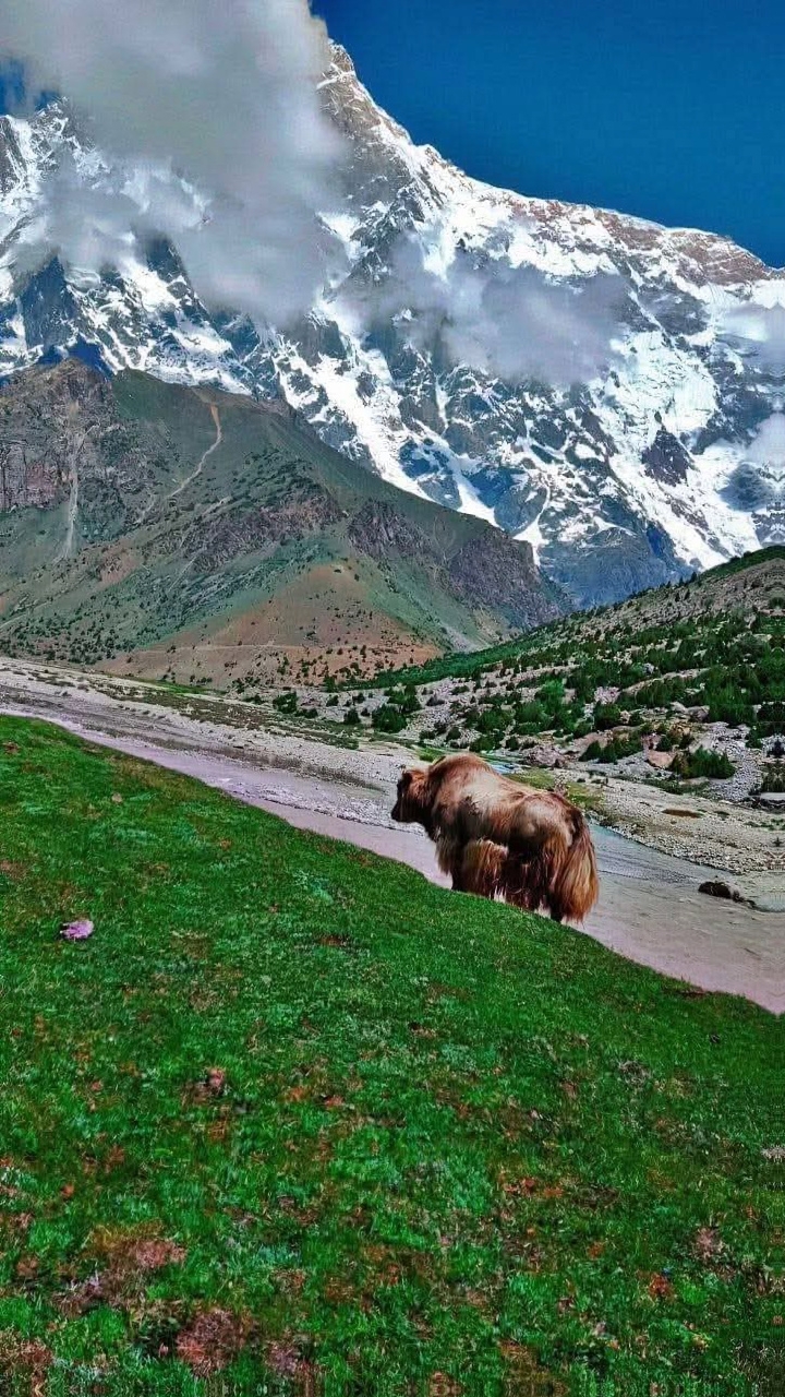 Mountain scenery, alpine meadows and surrounding areas of Rupal Valley, Astore